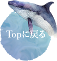 TOPに戻る